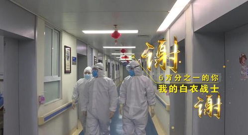 “守護天使”公益律師武漢上崗，為醫護筑起法律后盾